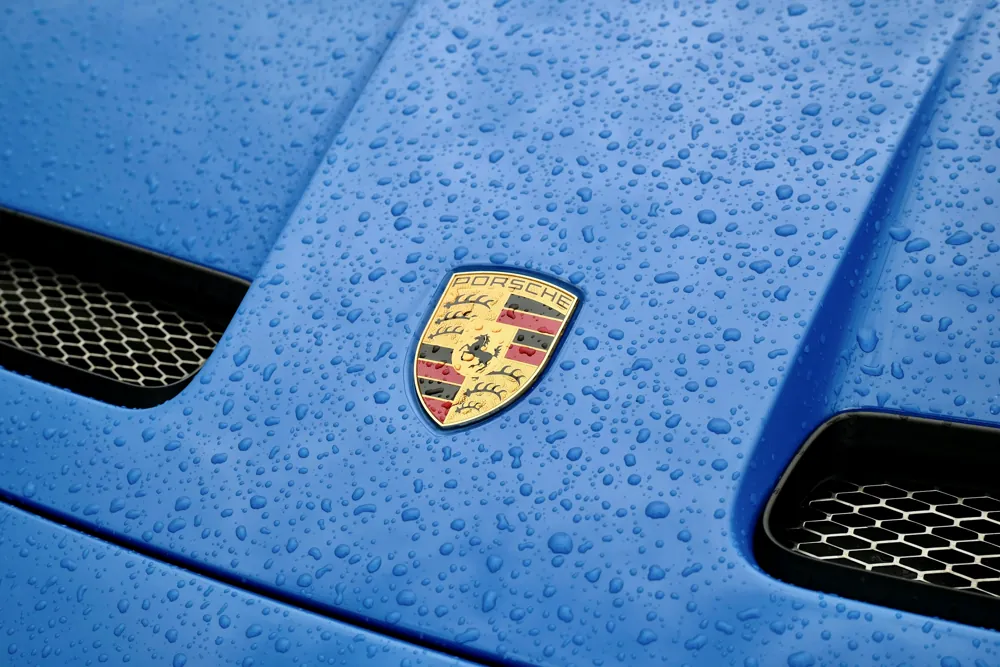 Crisp water beads on a coated blue bonnet